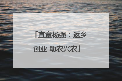 宜章杨强：返乡创业 助农兴农